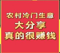 择一个可以或许带来最大利润的贸易项目常主要